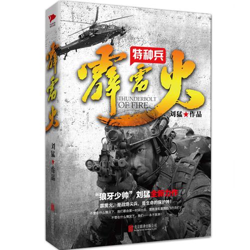 中国最强特种部队小说