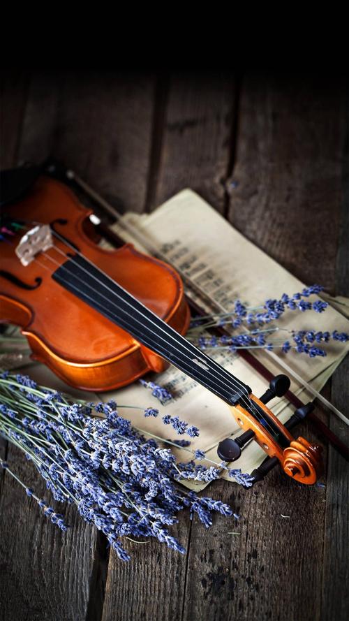 小提琴图片唯美壁纸