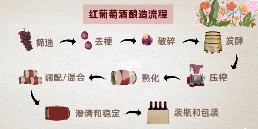 葡萄酒的制作方法和配方