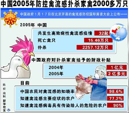 中国禽流感的相关图片