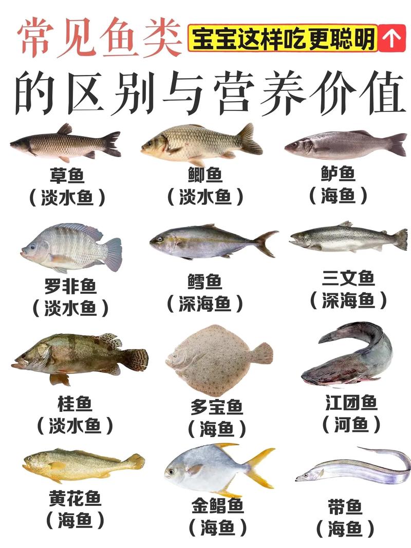 鱼的营养成分的相关图片